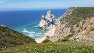 inner_flow_yoga_retreats