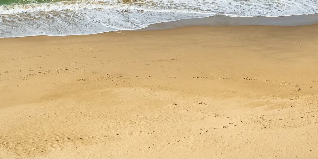 Yoga-Ausbildung Nordsee